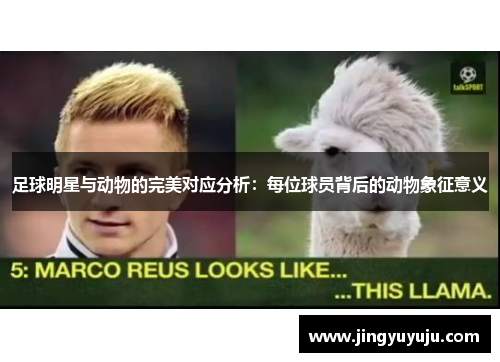 足球明星与动物的完美对应分析：每位球员背后的动物象征意义