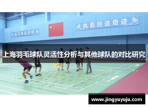 上海羽毛球队灵活性分析与其他球队的对比研究