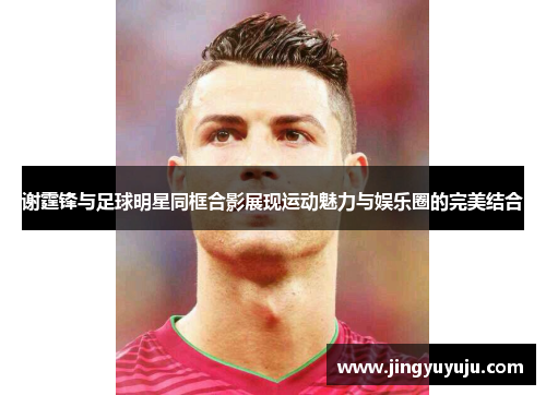 谢霆锋与足球明星同框合影展现运动魅力与娱乐圈的完美结合